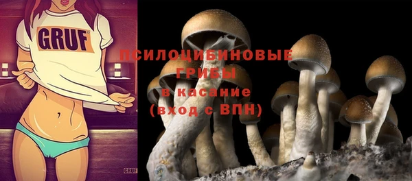 круглые Алзамай