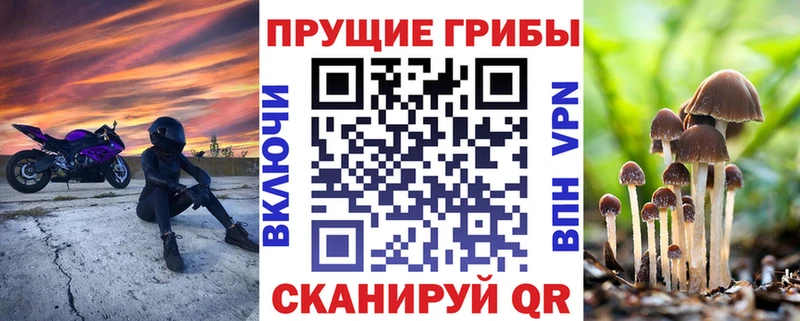 omg   Байкальск  Галлюциногенные грибы ЛСД 